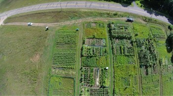 Aerial photo of the Jeffers Rd Gardens.