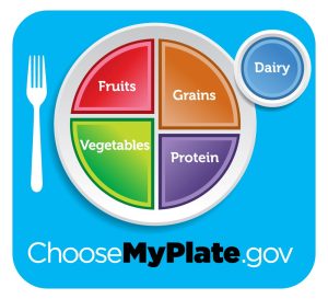 My Plate, which shows a dinner plate showing our diet should consist of about 20% protein, 30% Grains, 30% Vegetables, and 20% fruit.