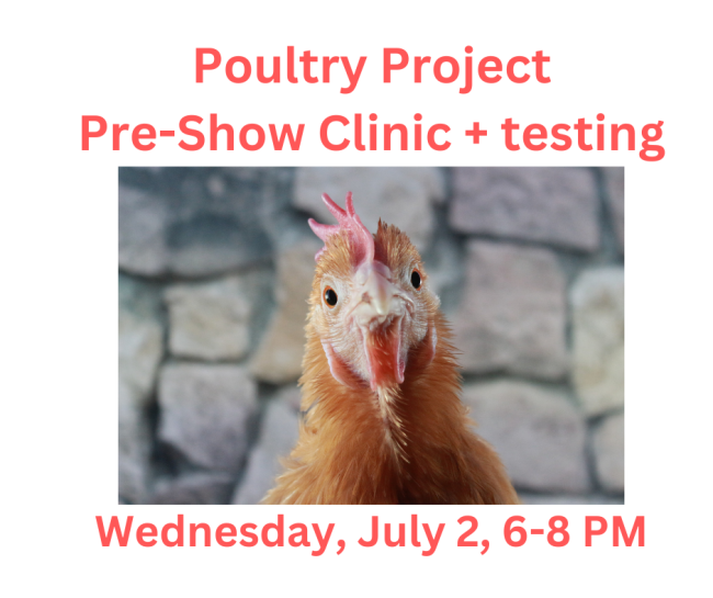 Picture of a chicken and words from the text box.